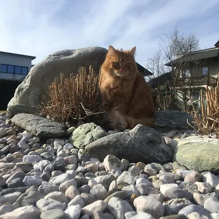 Ferienwohnung Amade *